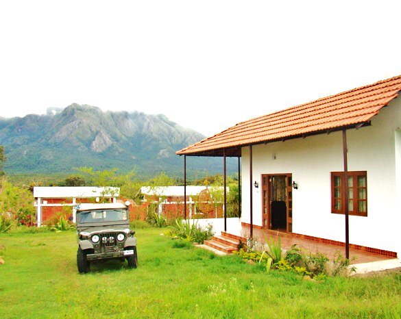 Savannah Crown Safari Lodge