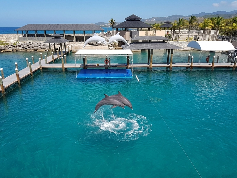 Dominican Republic