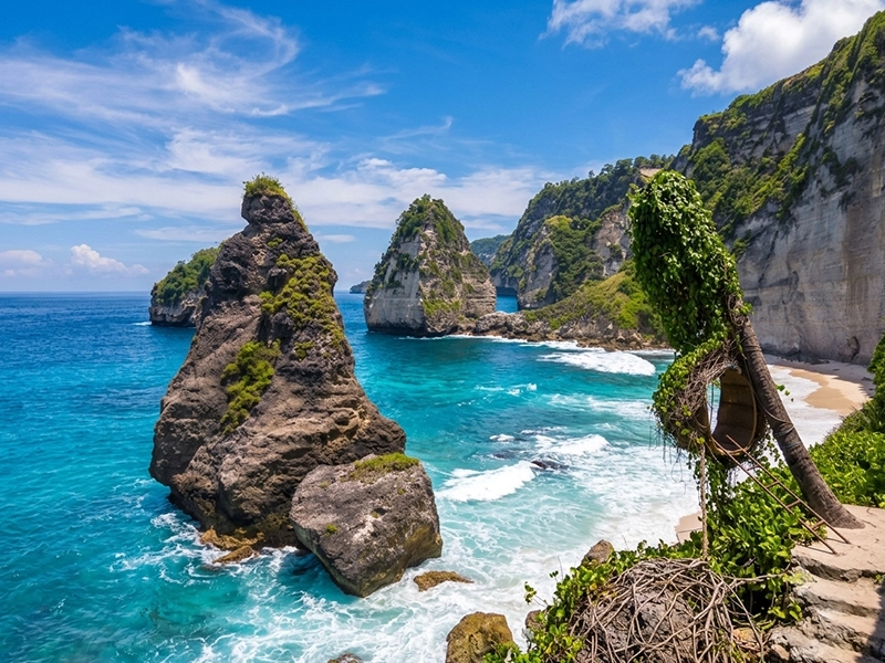 Singapore & Bali