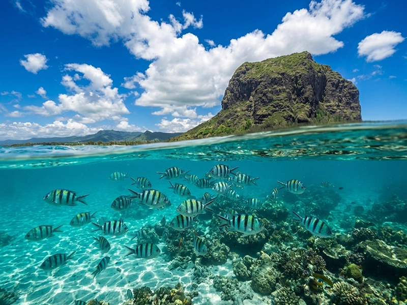 Mauritius