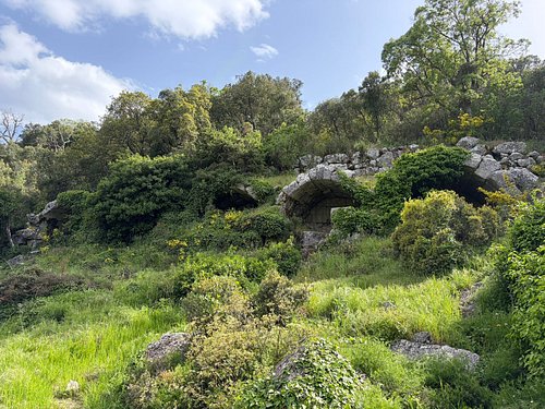 Termessos Örenyeri