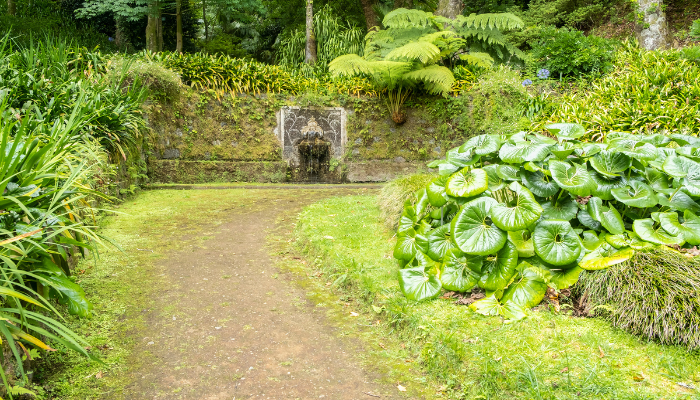 Viveiro, Botanical Garden & Zoo di Terra