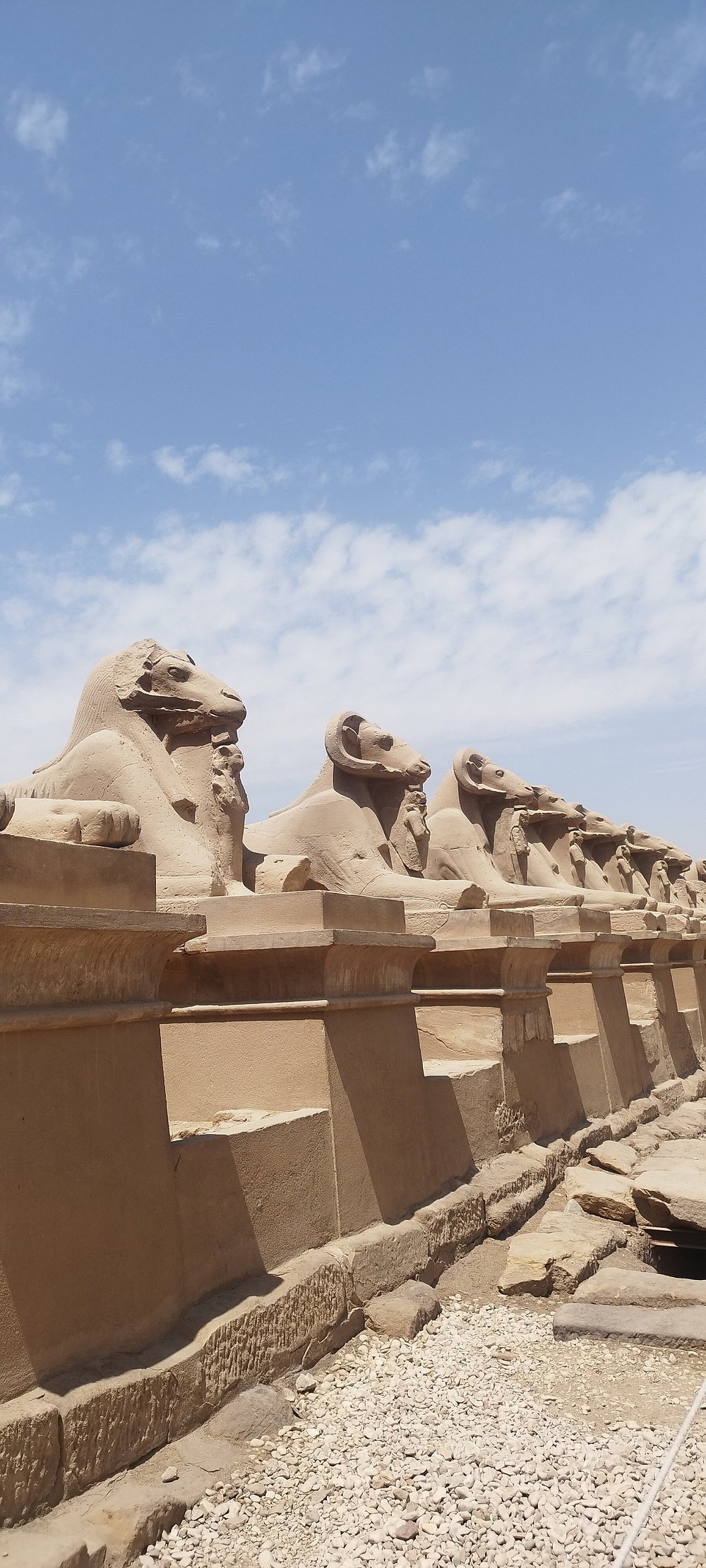Pharaoh Travel Agency