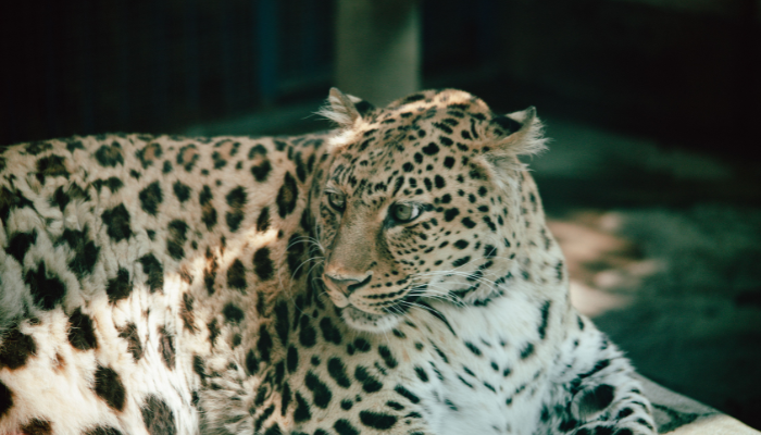 Bioparco di Roma